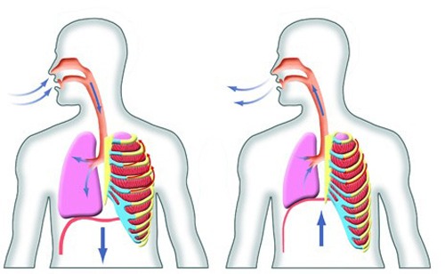 Imagen_Tip_de_Trote_Tecnica_de_respiracion_al_correr_por_Andres_Barraza