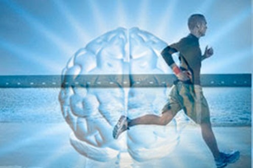 Imagen_noticia_se_buscan_atletas_para_estudio_neurologico_de_entrenamiento