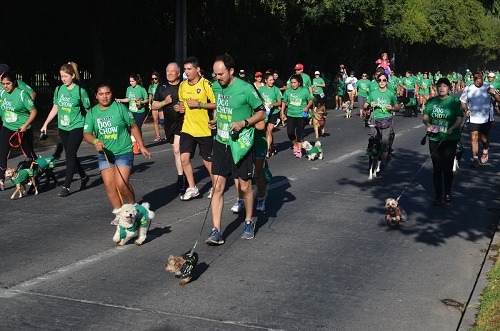 Imagen_Noticia_Perroton_Dogshow_2015_1