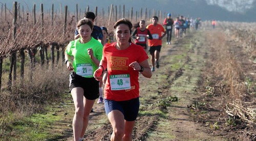 Imagen_Noticia_Nueva_fecha_del_Cross_Country_La_Pintana_01