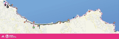 iMAGEN_MaratOn_de_Viña_del_Mar_2016_3