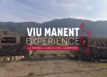 Llega la primera corrida del Carménère: la Viu Manent Experience