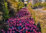 Exitosa Corrida Caminata Avon – Falp 2019 en la lucha contra el cáncer de mama