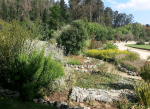 Corrida Ecológica y Social por la Recuperación del Jardín Botánico de Viña del Mar