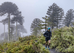 El Parque Nacional Villarrica vivió una nueva edición del Puesco Trail